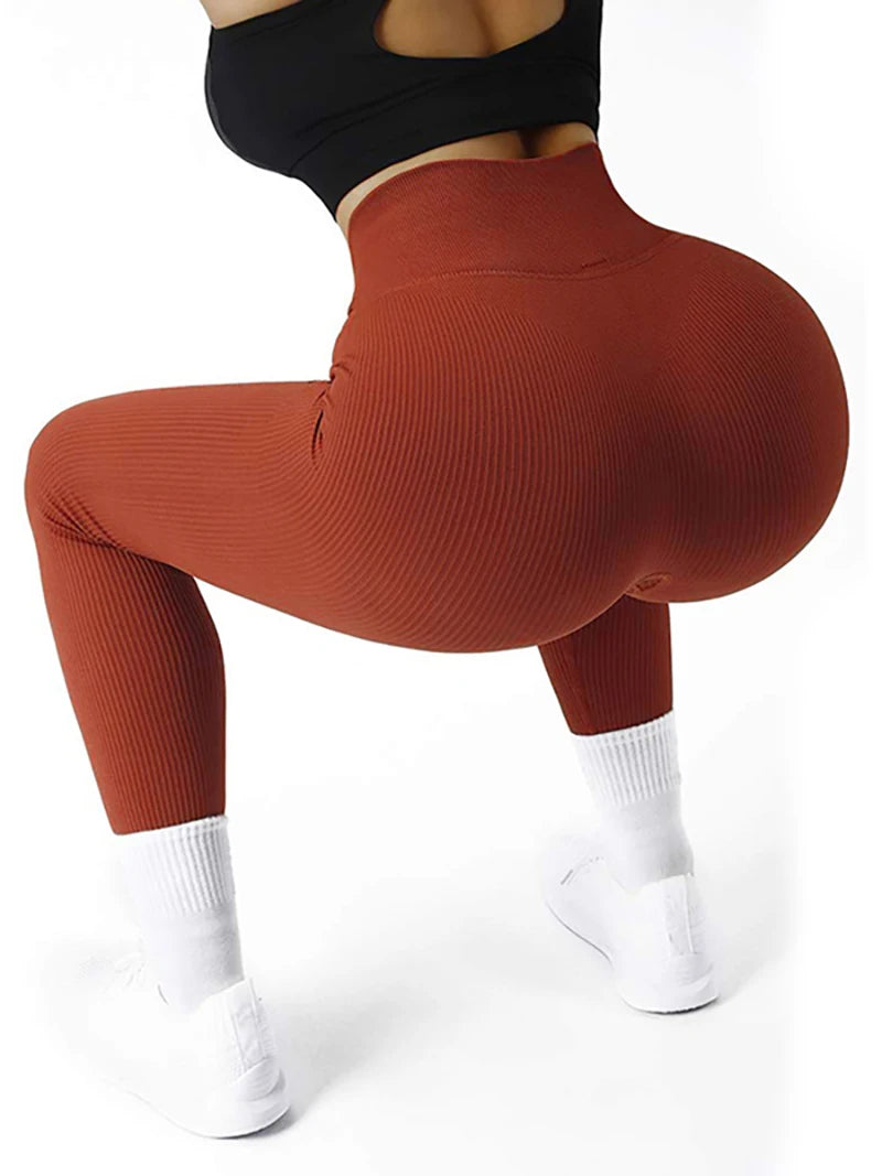 Women’s Gym Leggings Seamless Compression Activewear