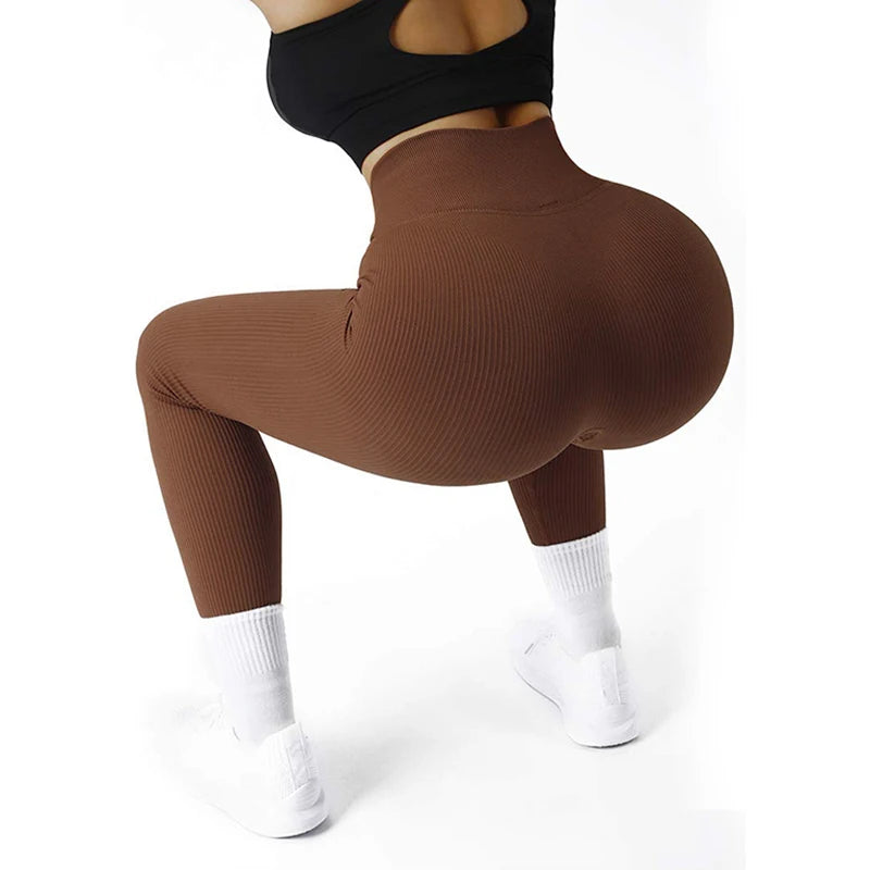 Women’s Gym Leggings Seamless Compression Activewear